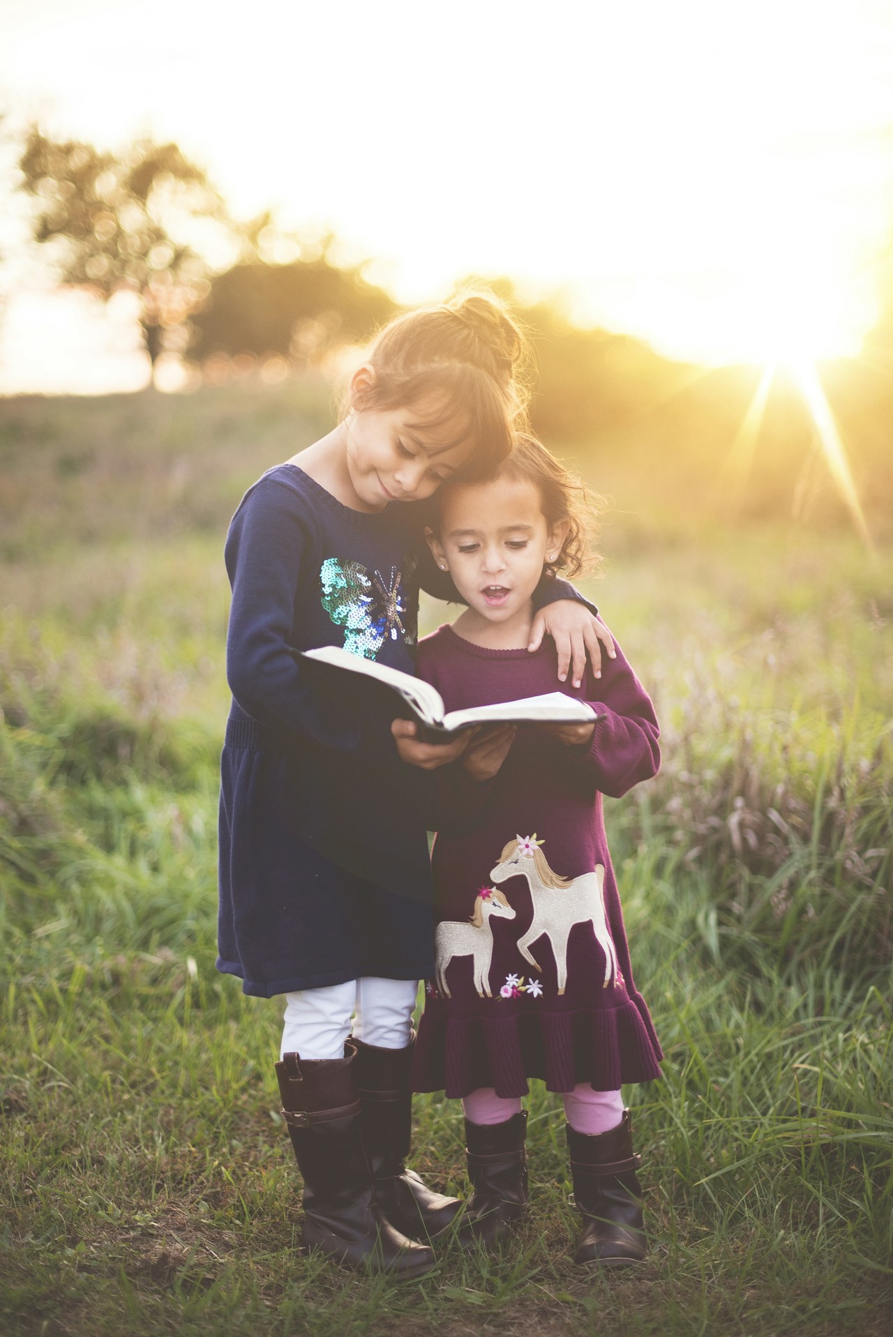 Foster carer and child bonding — supportive home environment